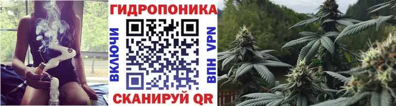 Где купить наркотики Игра ГАШИШ СОЛЬ Мефедрон Кокаин