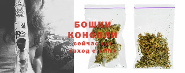ALPHA PVP Иннополис