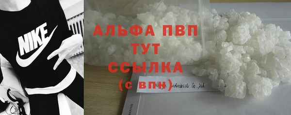 ALPHA PVP Иннополис