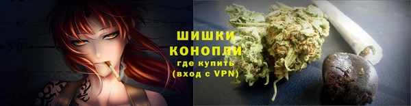 ALPHA PVP Иннополис