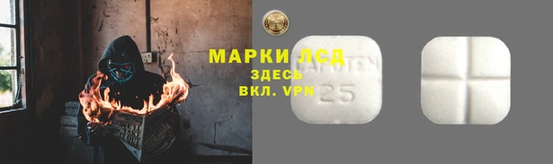 ALPHA PVP Иннополис