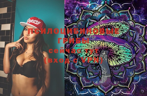 jwh Инсар